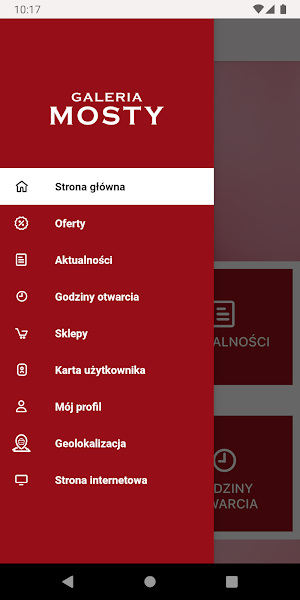 Galeria Mosty Screenshot 0