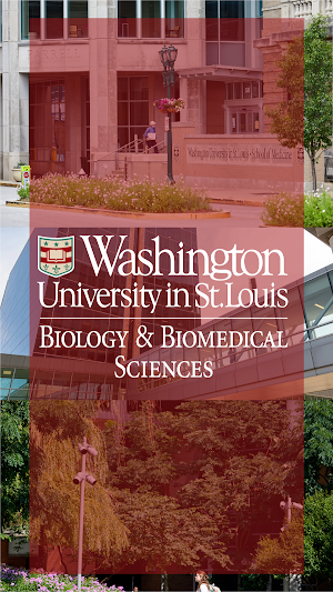 WashU DBBS Screenshot 0