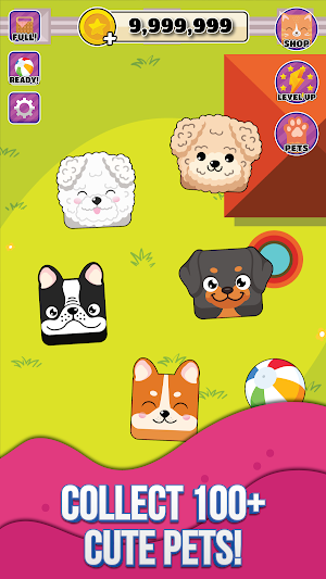 Pet Master: Merge and Trivia Screenshot 1