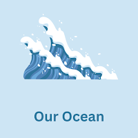 Our Ocean