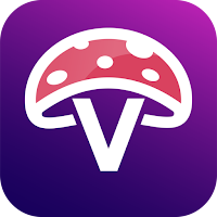 Vivid: Psychedelic Guidance
