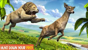 Lion Games 3D: Jungle King Sim Screenshot 0