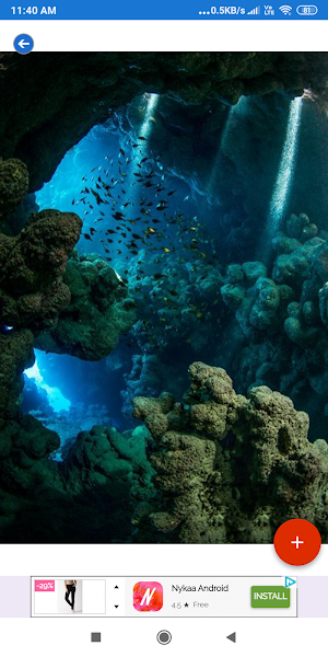 Coral Reef HD Wallpapers Screenshot 3