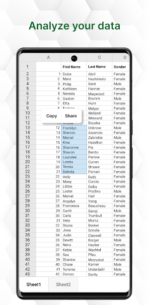 Excel Viewer - view xlsx & xls Screenshot 1