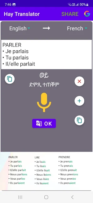 Hay translator Screenshot 2