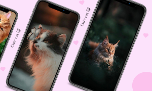 beluga cat Screenshot 2