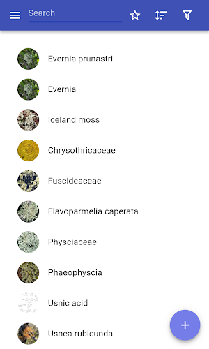 Lichens Screenshot 0