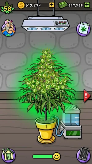 Bud Farm: Grass Roots Screenshot 0