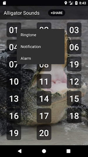 Alligator sounds Screenshot 1
