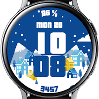 Winter Watch Face