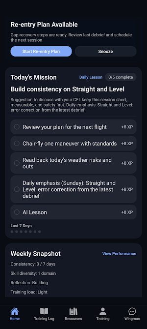 Wingman Screenshot 1