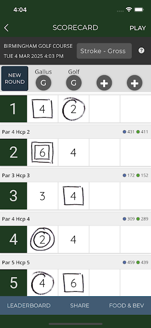 Golf Birmingham Screenshot 2