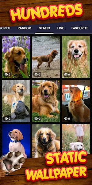 golden retriever wallpaper Screenshot 3