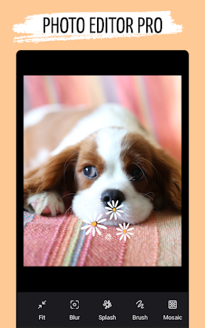 Photo Collage Maker - Photo Editor Screenshot 3