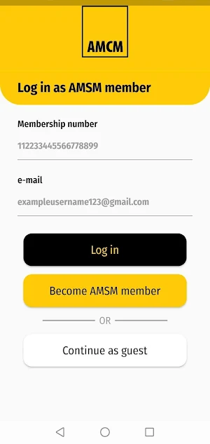 AMSM Screenshot 2