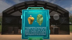 Semillas a Injertos de Marañon Screenshot 0