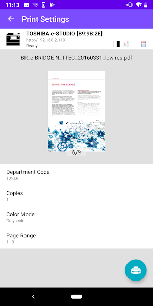 e-BRIDGE Print & Capture Entry Screenshot 1