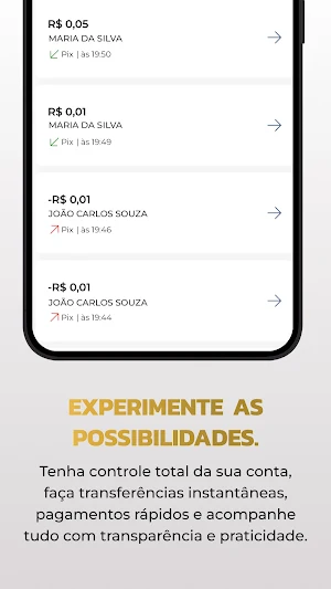 Paystar Screenshot 3