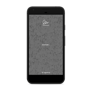 DF-Server Signature Screenshot 0