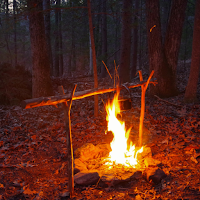 Wilderness Survival Wallpaper