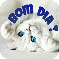 Imagens de Bom Dia 2023