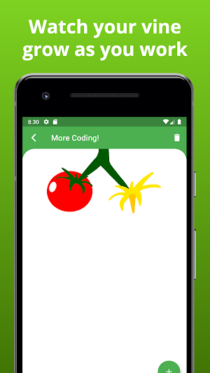 ConcentratedTomato Focus Timer Screenshot 3
