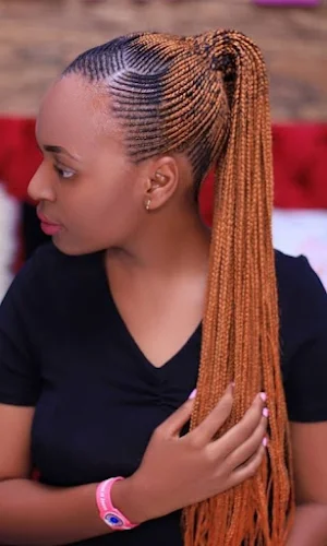 Braids Hairstyles for Black Women Screenshot 3
