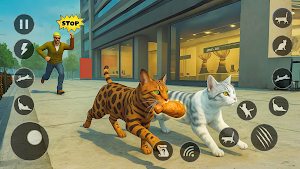 Cat Simulator: Cat Family Game Screenshot 3