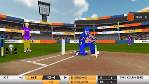 IPL Fever Screenshot 3