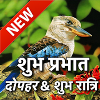 Hindi Good Morning Afternoon & Good Night Wishes