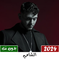 جميع اغاني الشامي 2024 بدون نت