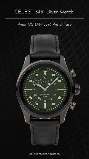 CELEST5431 Diver Watch Screenshot 1