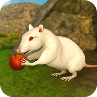 Mouse Simulator : Virtual Wild Life 2020
