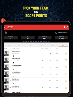 ALLT20 Fantasy Screenshot 3