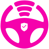 Ladycar: transporte para ellas