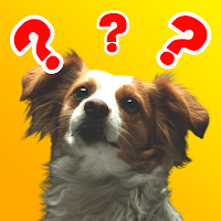 Dog app: bark & whistle dog