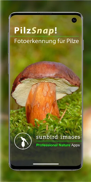 PilzSnap - Pilze sammeln! Screenshot 0
