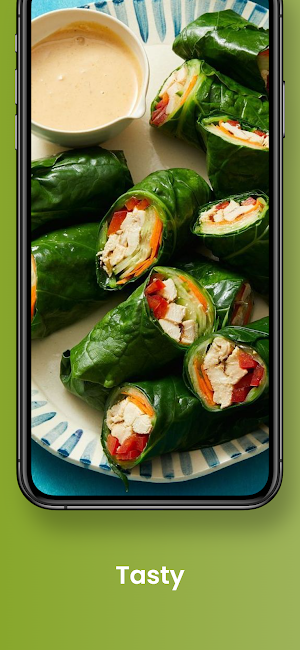 Healthy Meals Recipes Screenshot 3