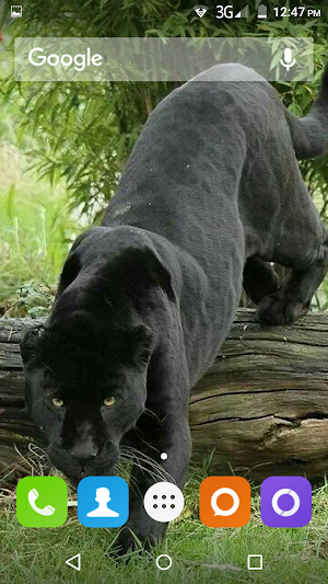Wild Animal Hd Wallpaper Screenshot 2
