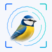 Birdly: Bird Identifier