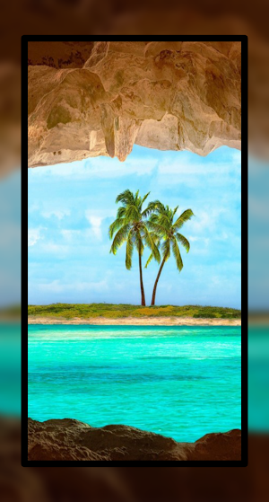 Palm Tree Wallpaper HD Beach Screenshot 1