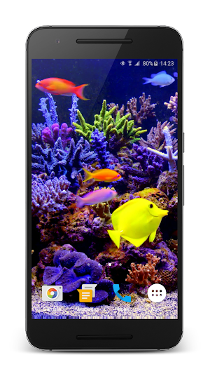 Aquarium Video Live Wallpaper Screenshot 2