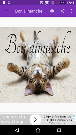 Bon Dimanche - Images et phrases Screenshot 2