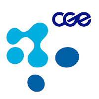 M-Risk T4 (CGE)