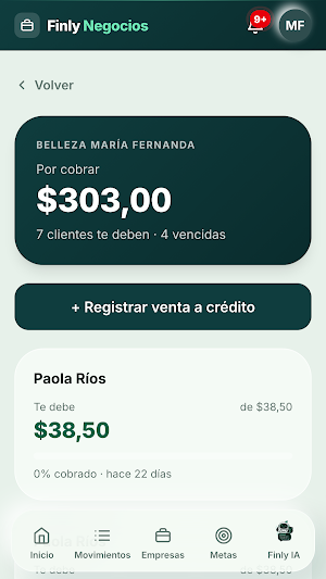 Finly Negocios Screenshot 2
