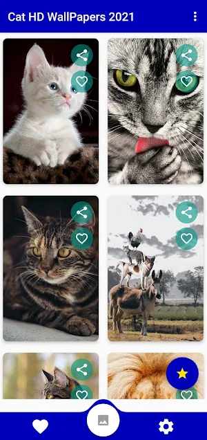 Cat UHD Wallpapers 2021 Screenshot 0