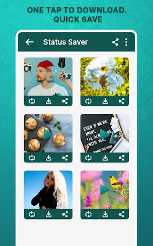 Save Status - IV Downloader Screenshot 3