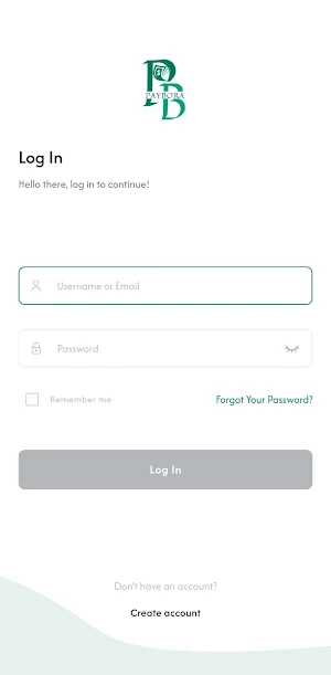 PayBora Screenshot 1