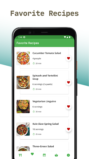 Vegetarian Lunch Recipes App Screenshot 3