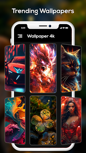 Video Wallpaper Maker Wallpack Screenshot 3